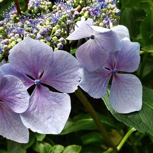 Meet your Posher, Margaret